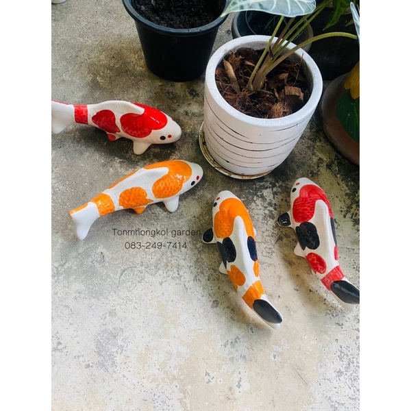 ปลาคราฟ เซรามิก แบบแยกตัว มี2ขนาดยาว23cmและ28cm มีสี4สี ราคาต่อ1ตัว