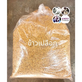 ข้าวกล้อง เม็ดสวย​ ถุงละ 7​ กิโล ข้าวโพดเกรดพรีเมี่ยม  6โล