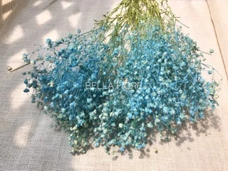 พร้อมส่ง ดอกไม้แห้ง ยิปโซย้อมสี มี2 ขนาด กำเล็ก และกำใหญ่ มีให้เลือกมากถึง 12 สีด้วยกัน