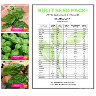 BASIL - NAPOLETANO - ITALIAN LARGE LEAF - VEGETABLE SEEDS SULIT SEED PACK [Halamanan PH] พาสต้า/เมล็ด/ดอกไม้/เสื้อ/และผั