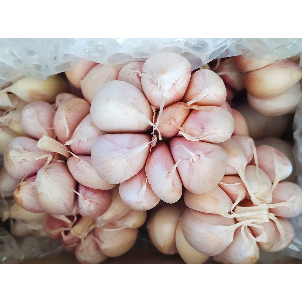 กระเทียม 100 กรัม 15 บาท garlic Knoblauch bawang putih ニンニク Ail 마늘 tỏi 大蒜 แกะกลีบ คัดพิเศษ ตรงปก หัวใหญ่