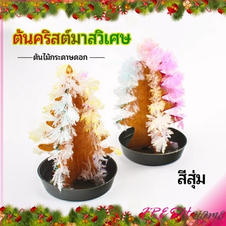 ต้นคริสต์มาสวิเศษ ต้นไม้กระดาษดอก ของขวัญแสนสนุก  magical christmas tree