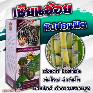 💥 เซียนอ้อย ฮอร์โมนสำหรับอ้อย บำรุงอ้อย แตกกอดี ลำต้นอวบ ใหญ่ เนื้อแน่น น้ำหนักดี เร่งหวาน