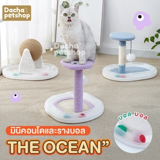 Dacha คอนโดแมว ลับเล็บแมว รางบอลแมว The Ocean 516 517