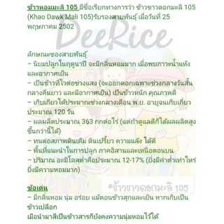 🌾(1 กก.)🌾 [ เก็บเกี่ยว 14 พ.ย. 68 ] ข้าวเปลือกหอมมะลิใหม่⚡คัดพิเศษ ♨️ตราดีไรซ์ ข้าวขาวดอกมะลิ105 DeeRice
