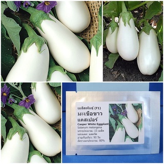 เมล็ดพันธุ์ มะเขือขาว แคสเปอร์ Casper White Eggplant F1 Seed บรรจุ 15 เมล็ด คุณภาพดี ราคาถูก ของแท้ 100%