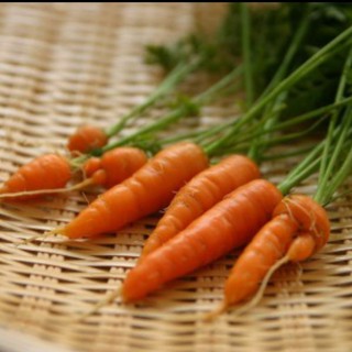 เมล็ดพันธุ์แครอทจิ๋ว - Little Finger Carrot