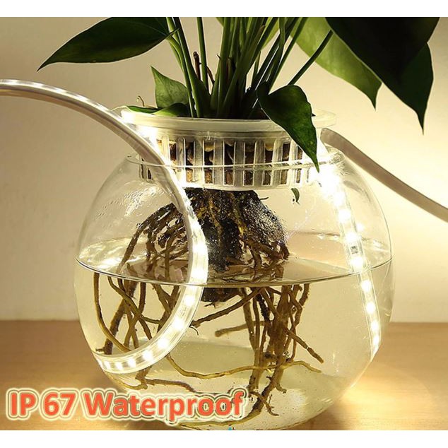 ไฟเส้นพร้อมใช้ LED ROPE LIGHT 5050 with Plug 220VAC and End cap Waterproof ราคา ถูกที่สุด ดีลบีเคเค แกลเลอรีภาพที่ 3