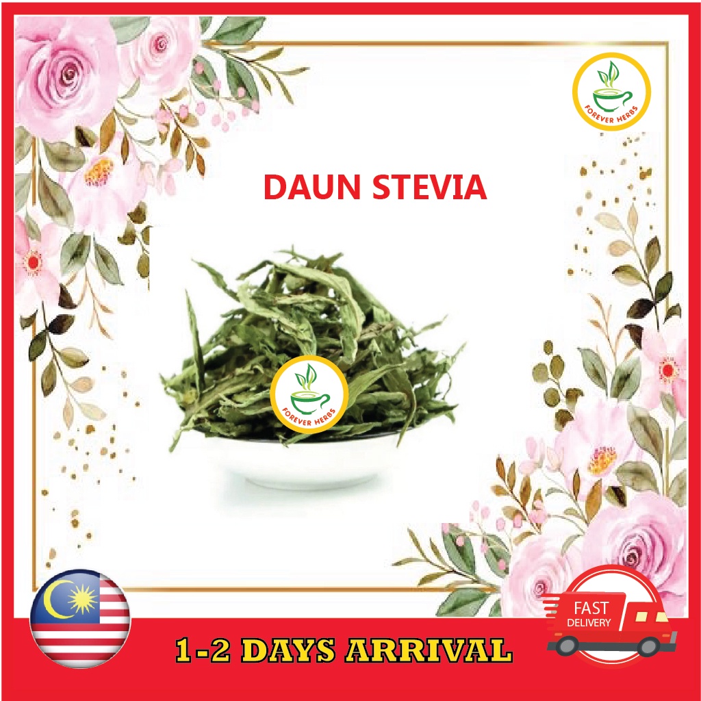 [ForeverHers] Daun Stevia Kering คุณภาพระดับพรีเมียม Gred AAA โรคเบาหวาน-Relaksjek Stevia Leaf น้ําต