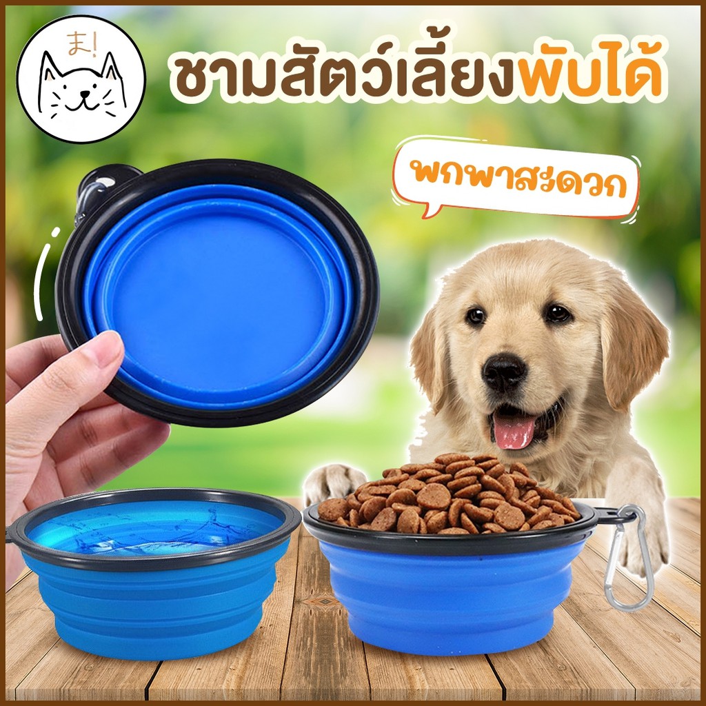 KUMAま ชามอาหารสัตว์เลี้ยง ชามพับได้ ชามอาหารแมว หมา แบบพกพา