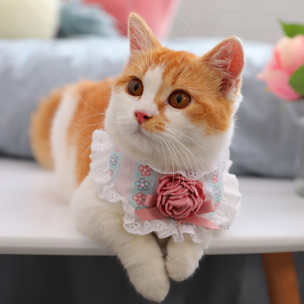 cat scarf collar