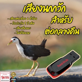 เสียงต่อ นกกวัก สำหรับต่อกลางคืน ยาว6ชั่วโมง ไม่มีโฆษณา แฟลชไดร์ฟ(Flash Drive) มีเก็บเงินปลายทาง