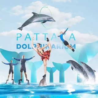 บัตร Pattaya Dolphinarium