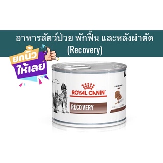 อาหารสัตว์พักฟื้น(สุนัขและแมว) Recovery ขนาด 195 กรัม 1 กระป๋อง(หมดอายุ : 18/09/24)