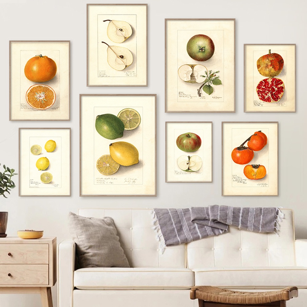 โปสเตอร์ภาพวาดสีน้ํามันบนผ้าใบ รูปผลไม้ ทับทิม เลม่อน 9 แบบ สไตล์โบราณ ไม่มีกรอบ สําหรับตกแต่งผนังบ้าน
