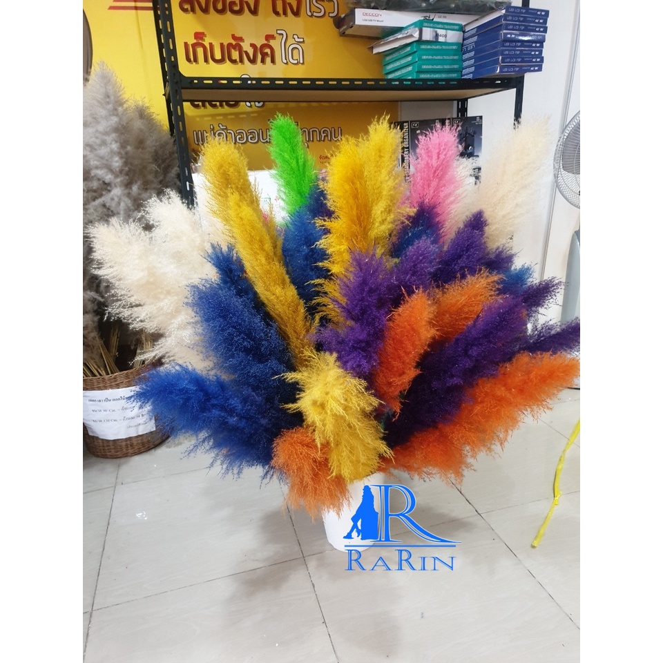 Rarin ดอกเลา ย้อมสี(หลากสี) 1ก้าน ‼️พร้อมส่ง‼️ขนาด 90-100 cm.ดอกรวมก้าน ดอกไม้ธรรมชาติ ดอกฟุ้งฟิ้ง ราคา ถูกที่สุด ดีลบีเคเค แกลเลอรีภาพที่ 4