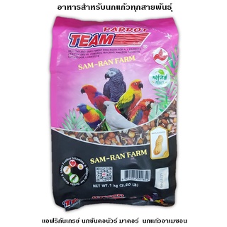 Team parrot ทีม แพรอท อาหาร นกแก้วขนาดกลางขึ้นไป ถุง 1 kg