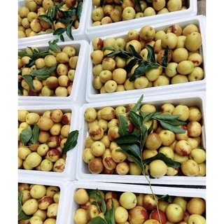 พร้อมส่ง‼️ พุทราช็อกโกแลตสด พุทราจีน ยกลัง2.6kg-3kgรวมโฟม