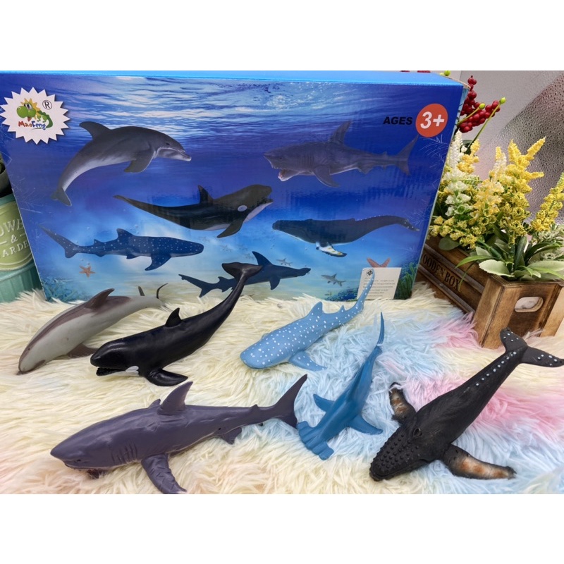 🌈ของเล่น ของเล่นเด็ก ปลาทะเล ปลายาง ปลาทะเลลึก ปลาโลมา ปลาฉลาม ปลาวาฬ ปลา