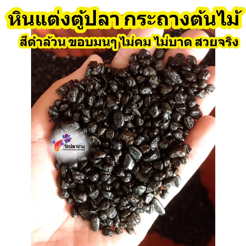 หินสีดำ ขอบมนๆ ไม่คมไม่บาดตัวปลา ตกแต่งตู้ปลา สวย ตรงปก ไม่เป็นอันตรายกับปลา