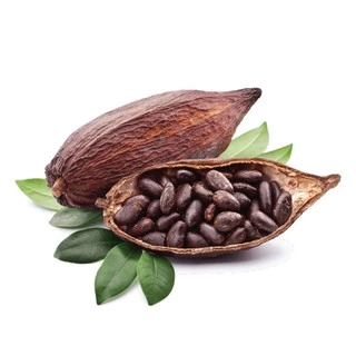 Black Cocoa ผงโกโก้ดำ