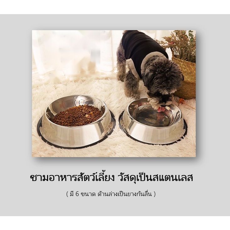 ABC cat [ BL09 ] แบบ1 ชามอาหารสแตนเลสสำหรับสตว์เลี้ยง