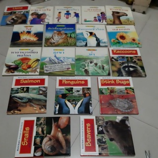 หนังสือเด็ก Animals world/ปลาดาว/สิงโต/เต่า/ปลาเซม่อน/หอยทะเล/เพนกวิน/สารานุกรมเด็ก/ขั้วโลก/อูฐ/ภูเขา/แสงแดด/ไฟ/สัตว์ป่า