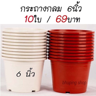 กระถางต้นไม้ กระถางพลาสติก 6 นิ้ว  ชุด 10ใบ | กระถางไม้มงคล กระถางสีขาว กระถางสีอิฐ กระถางแคคตัส กระถางไม้ประดับ