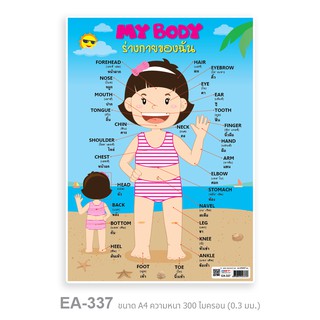 แบบฝึกท่องจำคำศัพท์ My Body (Girl) ขนาด A4 พลาสติก PP #EA-337