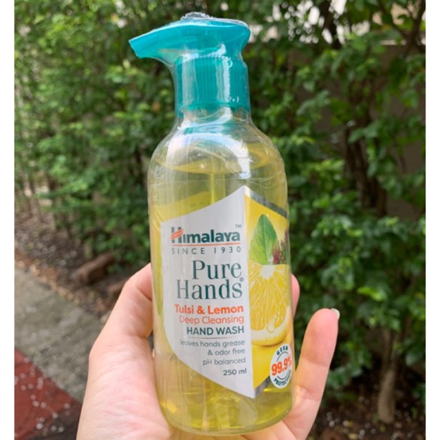 Himalaya hand wash (Tulsi & Lemon) 250ml. สบู่เหลวล้างมือ anti germ 99.