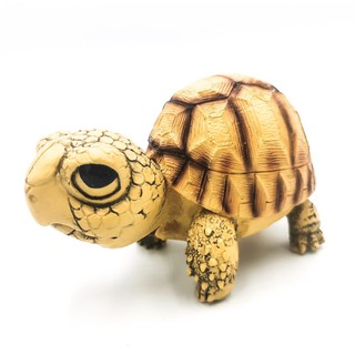 โมเดลเต่าเรซิ่น เต่าบกยูนิฟอร่า ขนาด 12 ซม yniphoraangonoka tortoise