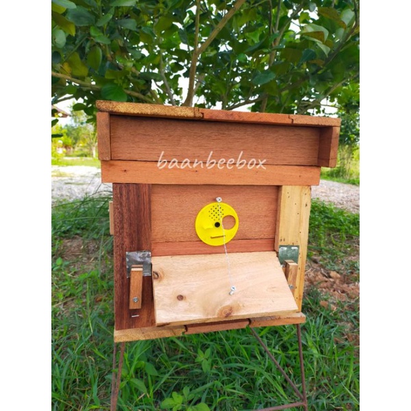 กล่องเลี้ยงผึ้งโพรงป่าพร้อมคอนสามสาย6คอนและฟีโรโมน.1ขวด - รูปที่ 3