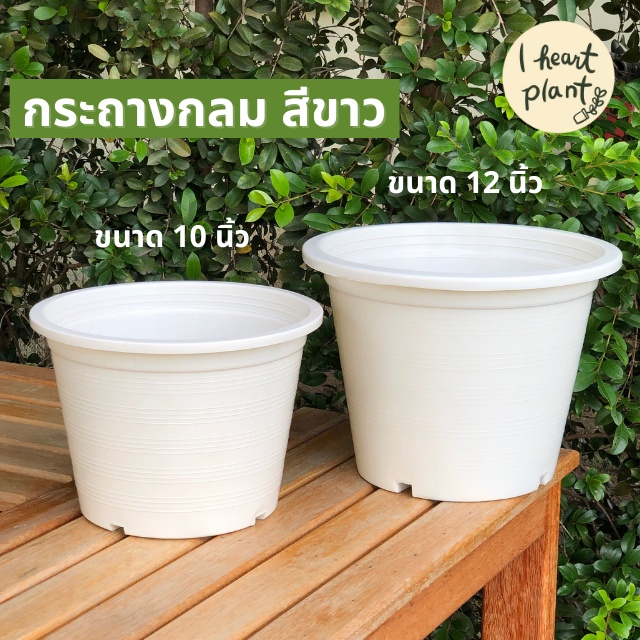 กระถาง 10 และ 12 นิ้ว กลม สีขาว สำหรับต้นไม้ทุกชนิด ผัก สลัด | Round White Pot 10 and 12 Inch