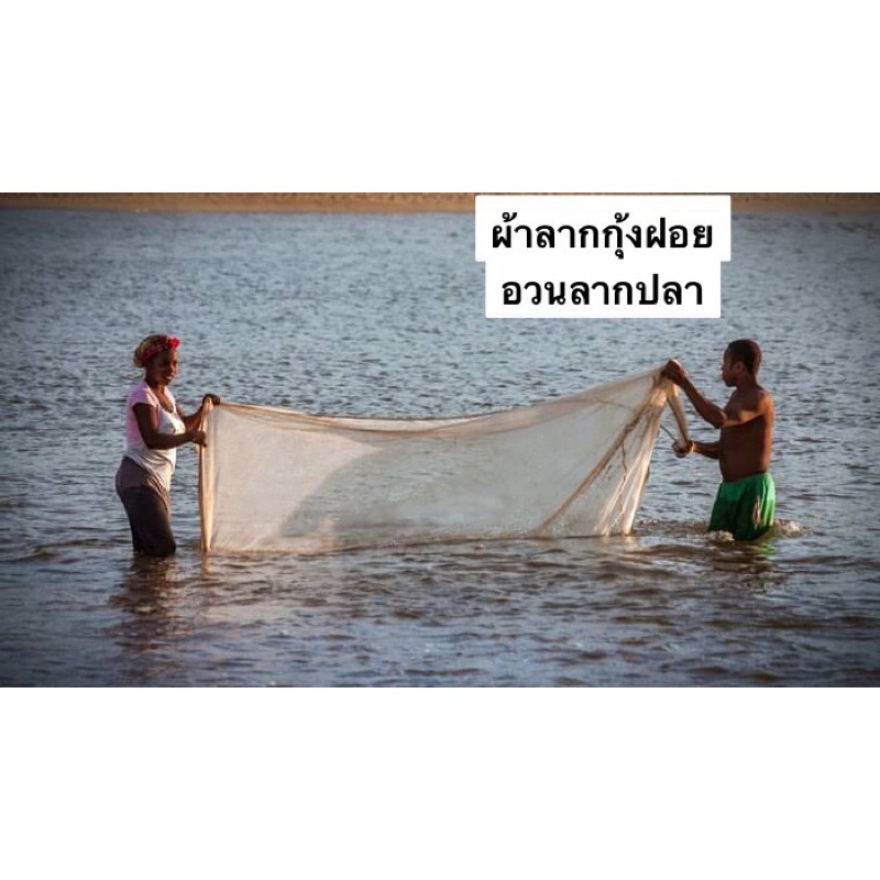 My Image 11