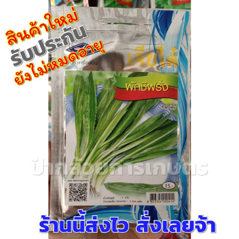 ผักชีฝรั่ง เมล็ดพันธุ์ผักเจียไต๋ 1 ซอง เมล็ดผักชีฝรั่ง – โปรปัง