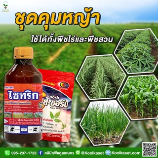 กำจัดหญ้า ไซทริก คุมข้าวโพด อ้อย มัน พืชผัก หญ้าใบแคบ ใบกว้าง พื้นที่ 3-5 ไร่ คูลเกษตร KP56