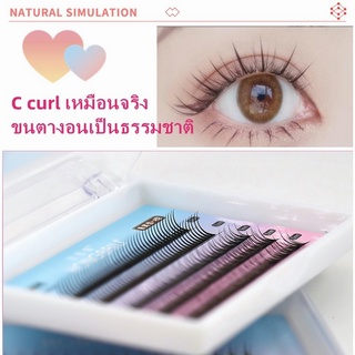 ANNY ขนตา ขนตาปลอม ขนตาปลอมธรรมชาติ ขนตาปลอมแบบธรรมชาติ ขนตาปลอม3d ขนตาปลอมช่อ ขนตาปลอมแบบช่อ ขนตาแบบช่อ