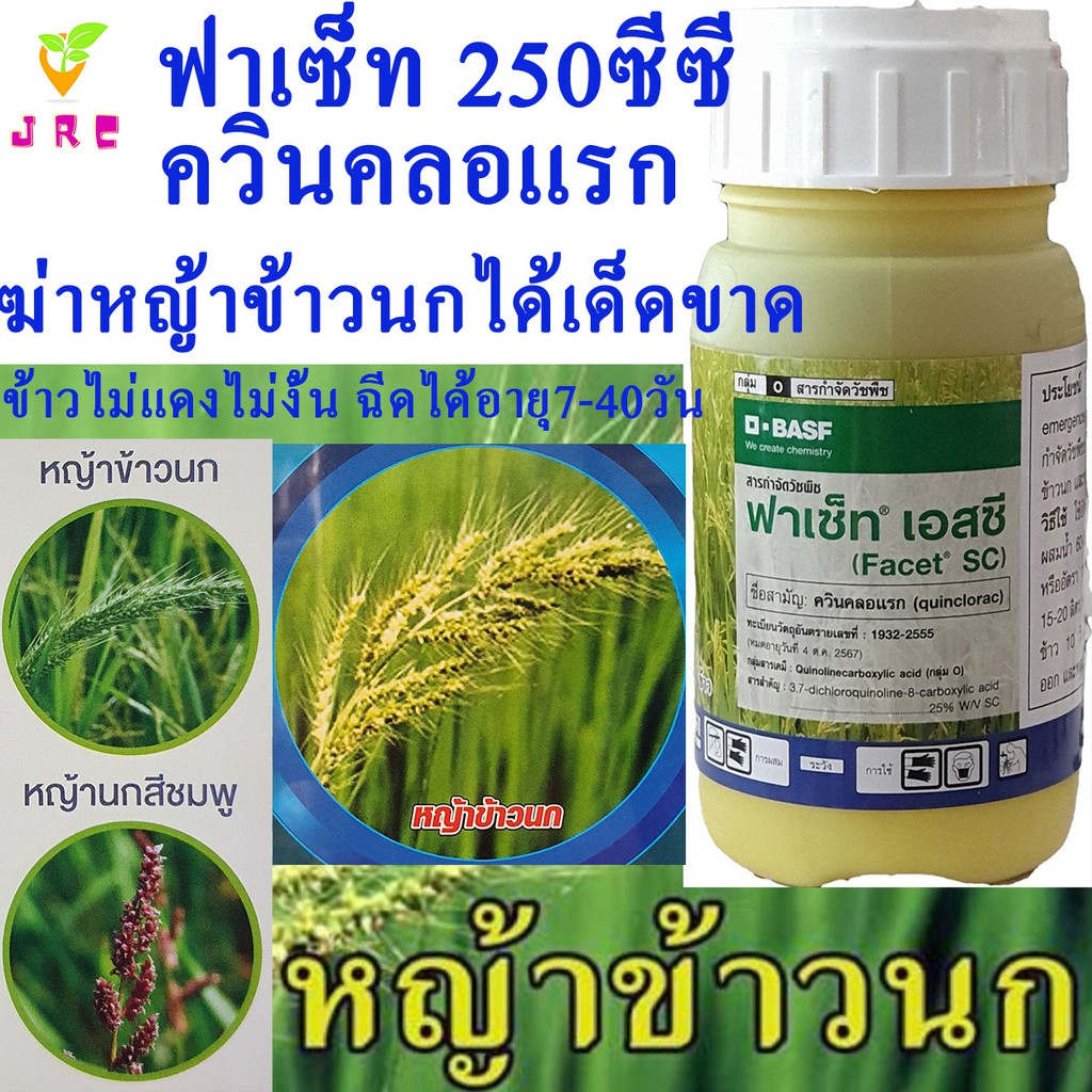 ฟาเซ็ท 250ซีซี ควินคลอแรก ชนิดน้ำ สารกำจัดวัชพืชใบแคบในนาข้าว หญ้าข้าวนก หญ้ากอ หญ้าหางหมา หญ้าดอกใหญ่ สามารถฉีดเก็บได้