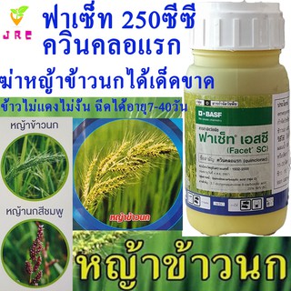 ฟาเซ็ท 250ซีซี ควินคลอแรก ชนิดน้ำ สารกำจัดวัชพืชใบแคบในนาข้าว หญ้าข้าวนก หญ้ากอ หญ้าหางหมา หญ้าดอกใหญ่ สามารถฉีดเก็บได้