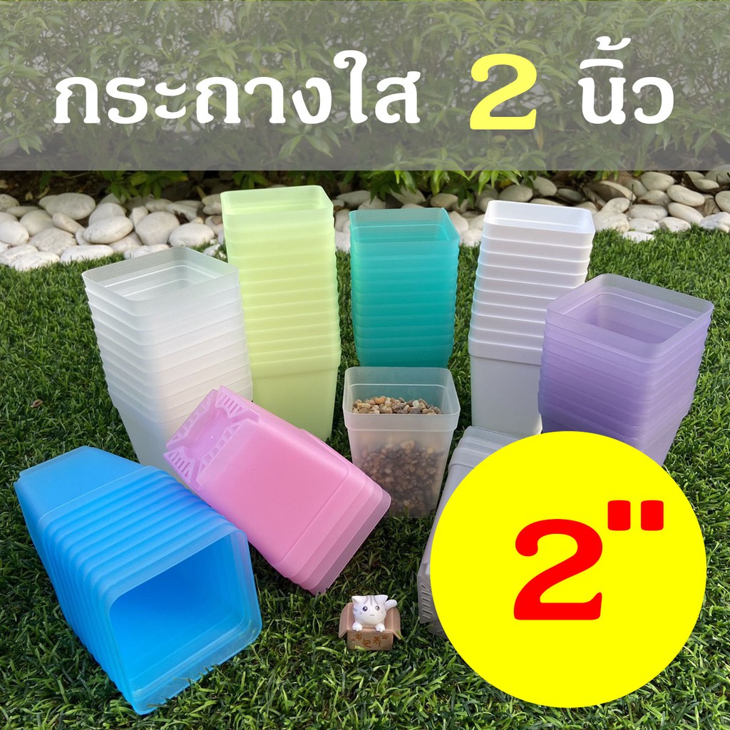 My Image 38