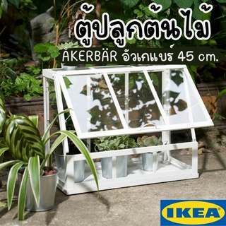 **จำกัดออเดอร์ละ 1 ชิ้นนะคะ**ตู้ปลูกต้นไม้ IKEA ใน/นอกอาคาร ÅKERBÄR อัวเกแบร์ 45 เซน