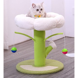 Cat Accessories คอนโดแมว  sizeเล็ก ของเล่นแมว ที่นอนแมวและตุ๊กตาให้แมวกัด ขนาด 44x40 Cm. สีเขียว