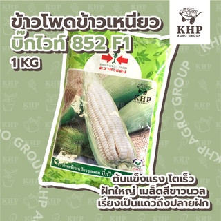 เมล็ดพันธุ์ ข้าวโพด ข้าวเหนียวสีขาว บิ๊กไวท์ ตรา ศรแดง 🌽 ขาวววว หวานนน นุ่มมม หนึบ 🌽 ขนาดบรรจุ 200 กรัม / 1 กิโลกรัม