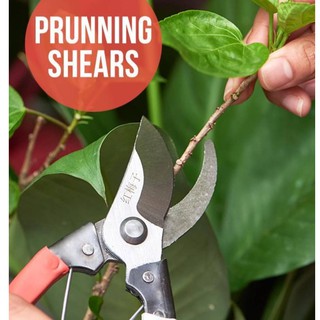 กรรไกรตัดกิ่ง ราคาถูก Pruning shears