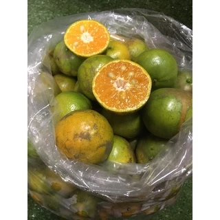 🍊ส้มสายน้ำผึ้ง [👍ใช้คั้นน้ำ 💲เบอร์ลาย] ขอคนเข้าใจส้มเบอร์ลาย - ส้มสำหรับคั้นน้ำขาย