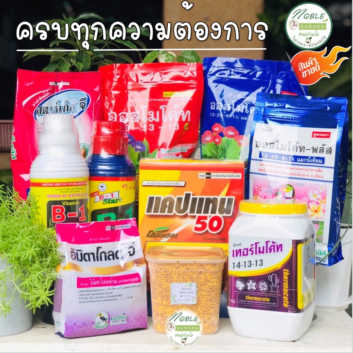 ปุ๋ยออสโมโค้ท ขนาด 1 กิโลกรัม ปุ๋ยเทอร์โมโค้ท ปุ๋ยละลายช้า สตาร์เกิลจี เฮอร์สตาร์ จี น้ำยาเร่งราก บีวัน แคปแทน