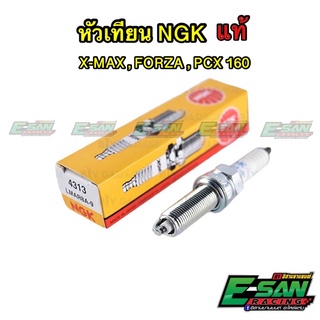 หัวเทียน NGK X-max Forza Pcx160