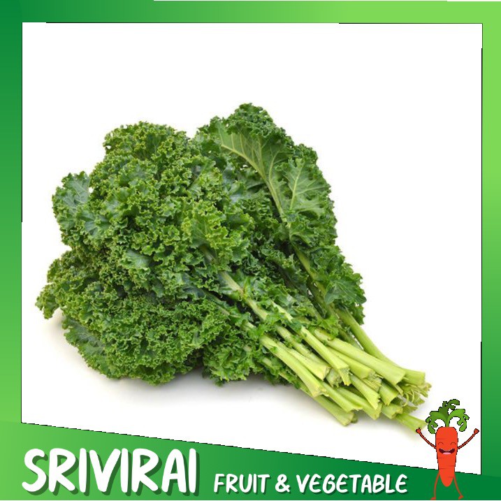 🥬ผักเคล (1กิโลกรัม) พร้อมส่ง ❗️เคล คะน้ายุโรป (kale) เคล สด ใหม่🥬
