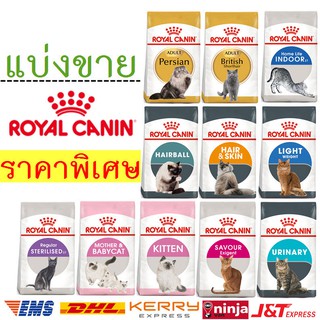 พร้อมส่ง Royal Canin แบ่งขาย ครึ่งโล/1กิโล อาหารแมว โรยัล คานิน แม่แมว แมวเด็ก แมวโต สูงอายุ เฉพาะสายพันธุ์