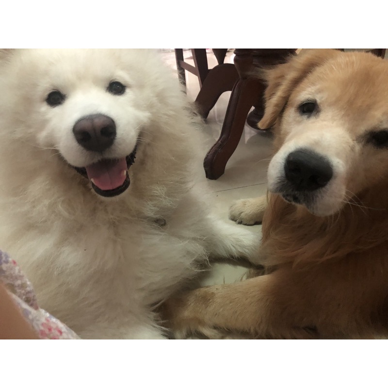 กล่องสุ่มเสื้อผ้ามือ2สภาพดี9-14ชิ้นต่อกล่องของผู้หญิงและผู้ชายแจ้งในแชทได้เลย